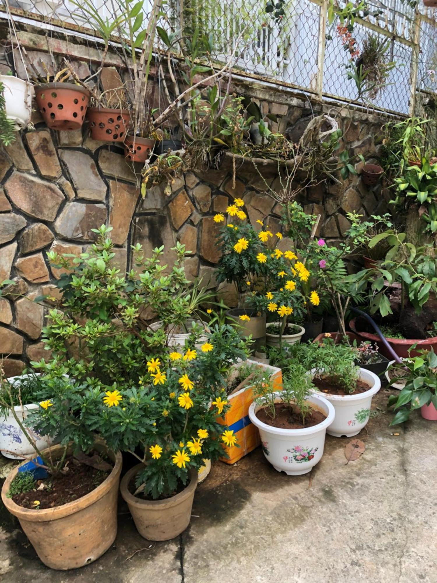 Phuong Hong Guesthouse Da Lat Kültér fotó